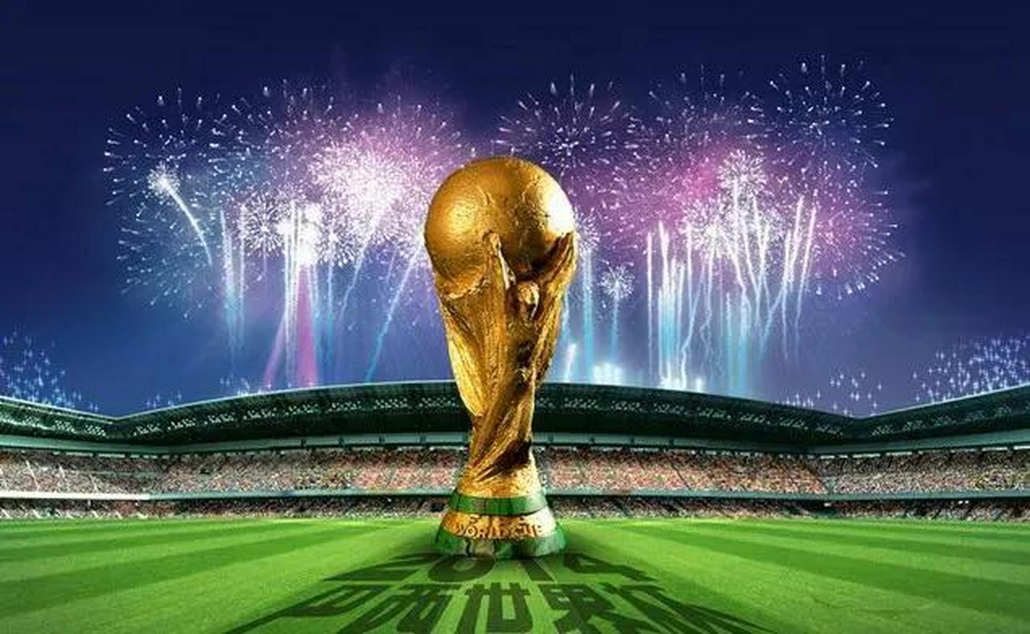 案例证实了 案例证实了